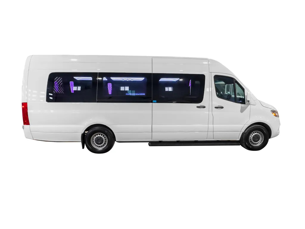 image of 20 passenger party bus exterior passenger side