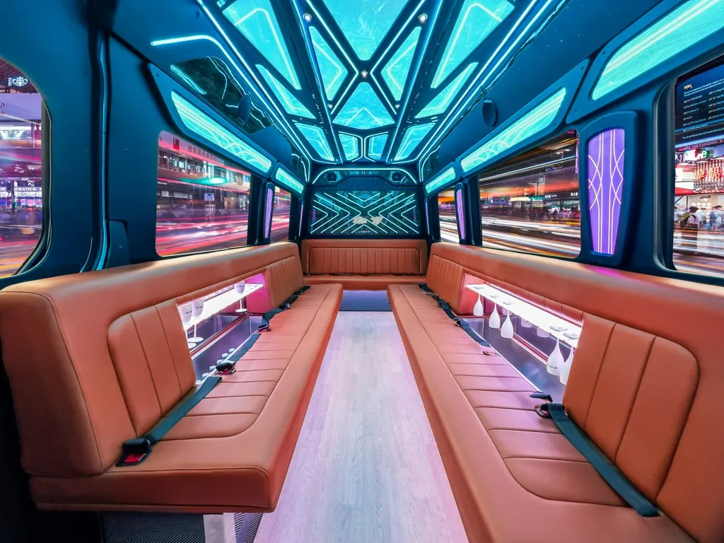 image of 20 passenger party bus interior taken from the back