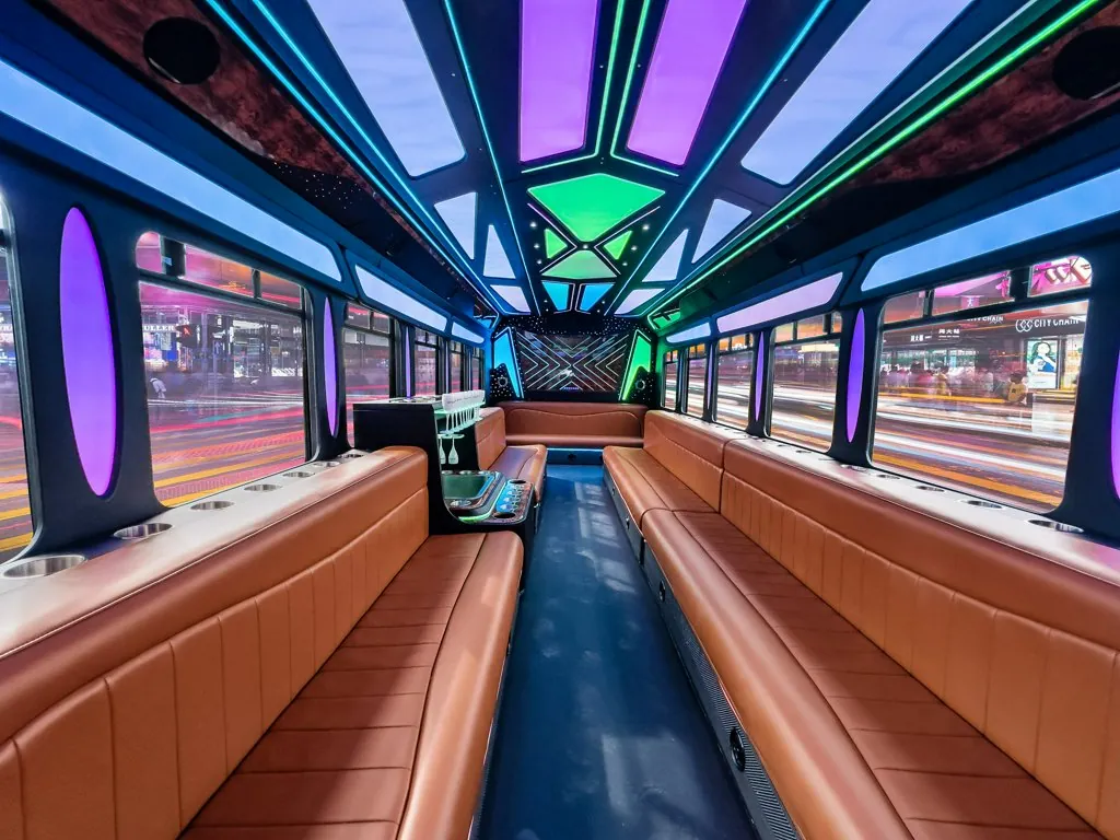 image of 28 passenger Party Bus interior taken from the front