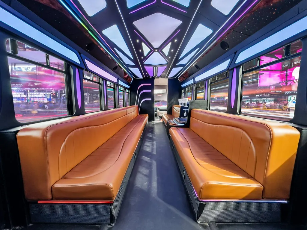 image of 28 passenger Party Bus interior taken from the back of the bus